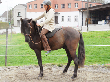 Anr1