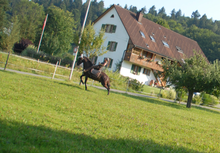 Autsch