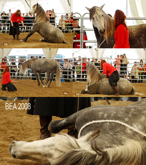 BEA_2008