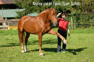 Flavio1