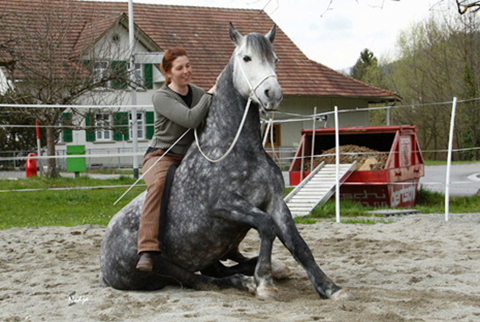 bonito_diana_sitzen