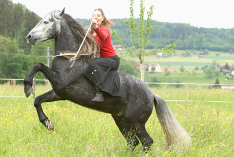 bonito_liegen_flach
