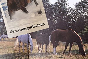 buch