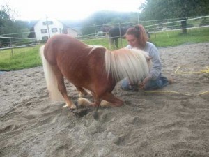 carino_knien