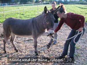 carino_spanisch