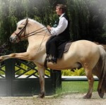 Wenkenpark 2011 - das besondere Fotoshooting