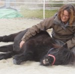 pony1
